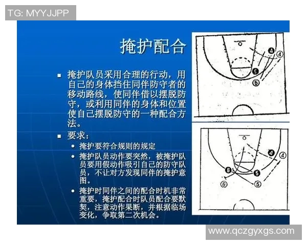 杭州排球队的转换打法深度分析与战术解读