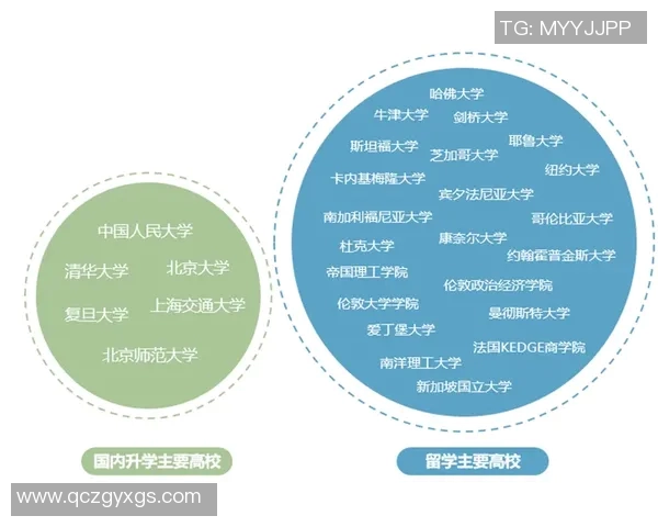 杭州排球队防反战术解析与热点动态全景解读